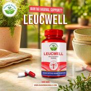 Leucwell